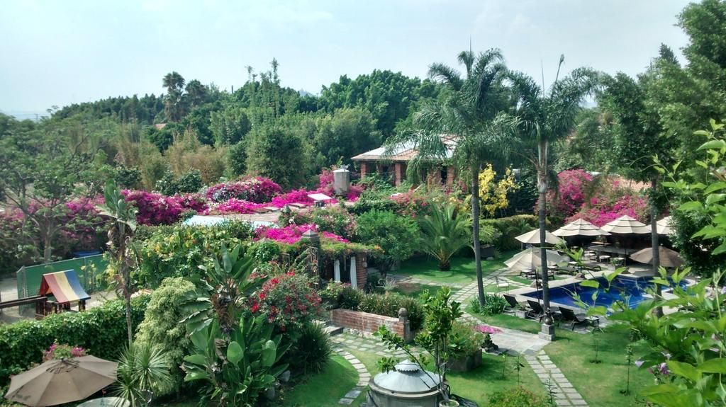 Las Calandrias Atlixco Bagian luar foto