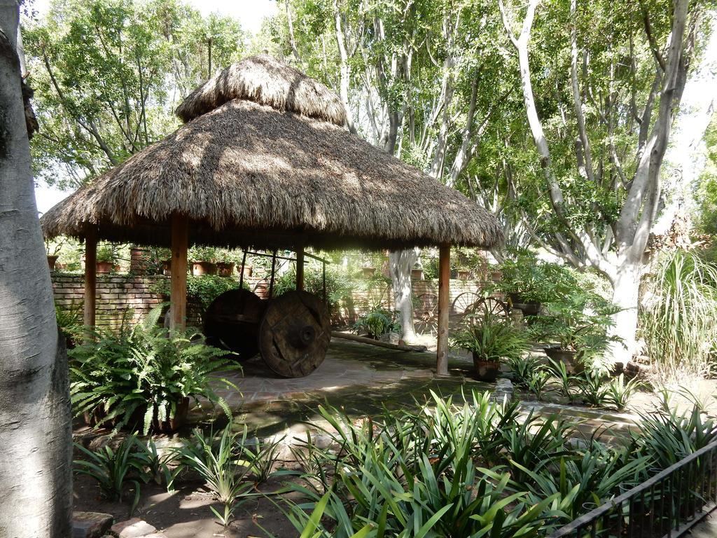 Las Calandrias Atlixco Bagian luar foto